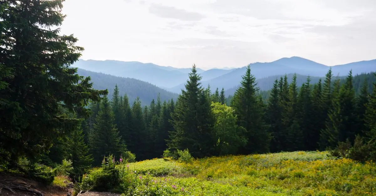 10 Activités Incontournables pour Vos Escapades Actives