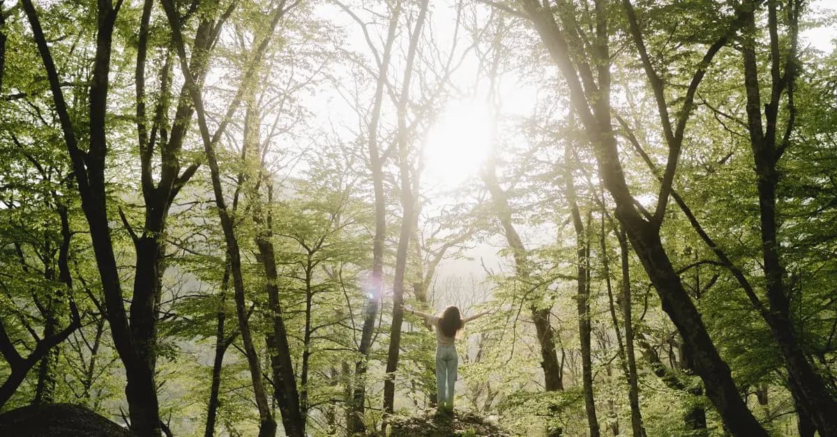 Les 10 Activités de Plein Air à Essayer pour Booster Votre Énergie
