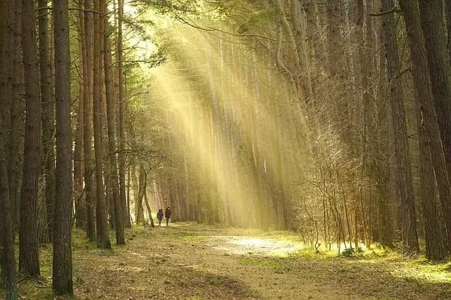 Top 10 des Activités de Plein Air à Essayer pour Énergiser Vos Escapades