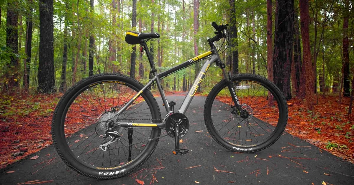 Comparatif : Vélo de Route vs Vélo Tout-Terrain
