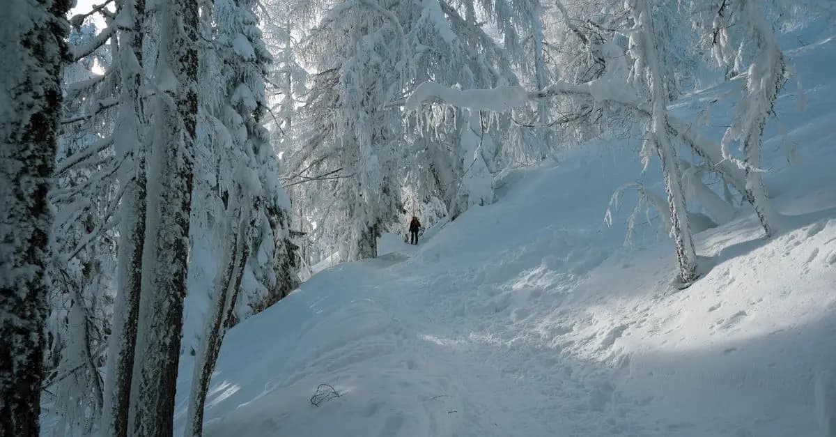 Conseils pour les Escapades en Raquettes en Hiver
