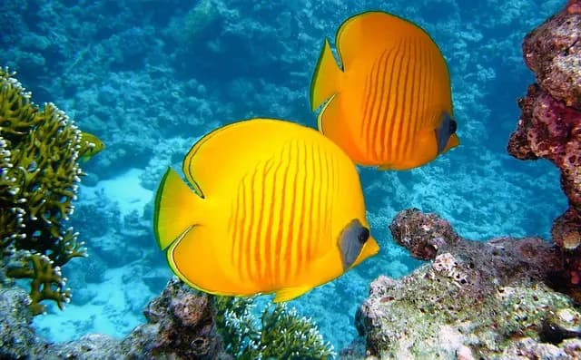 Top 10 des Activités Aquatiques à Tester pour Vos Escapades