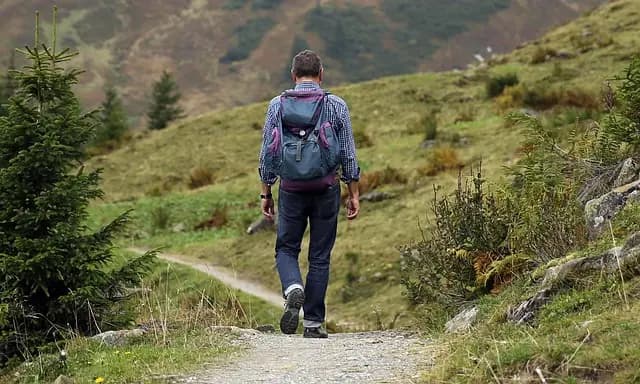 Les Meilleures Randonnées à Tester pour vos Escapades Actives