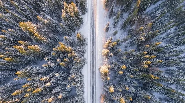 Les 7 Activités Insolites à Tester lors de Vos Escapades Actives