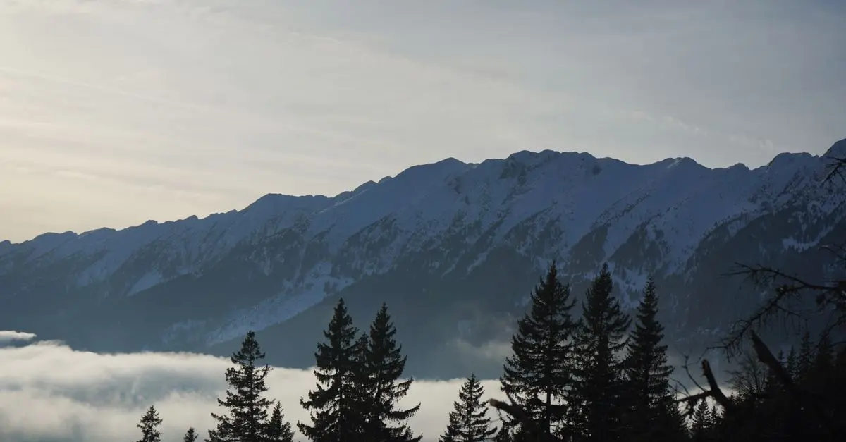 Comment Améliorer Vos Performances en Course de Trail