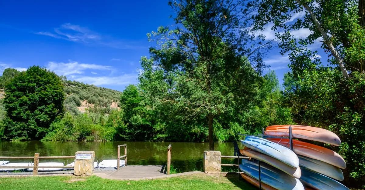 Les Meilleures Activités Outdoor pour S'épanouir en Famille