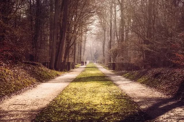 Les Meilleures Activités de Plein Air pour Dynamiser Vos Escapades