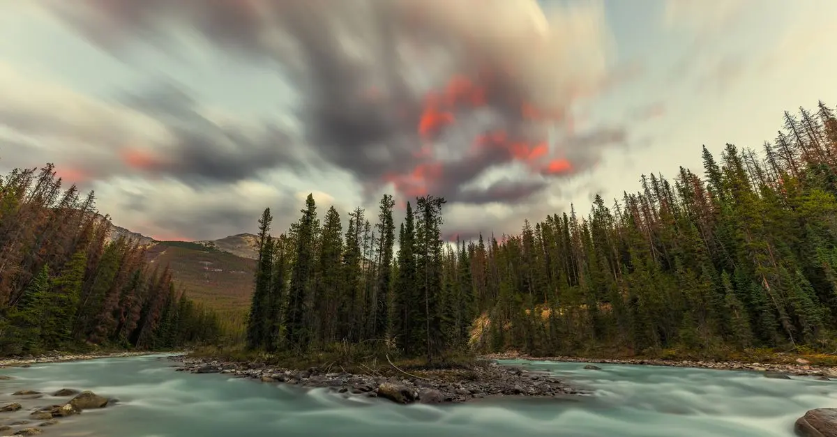 Les 10 Meilleurs Parcs Naturels pour des Escapades Actives