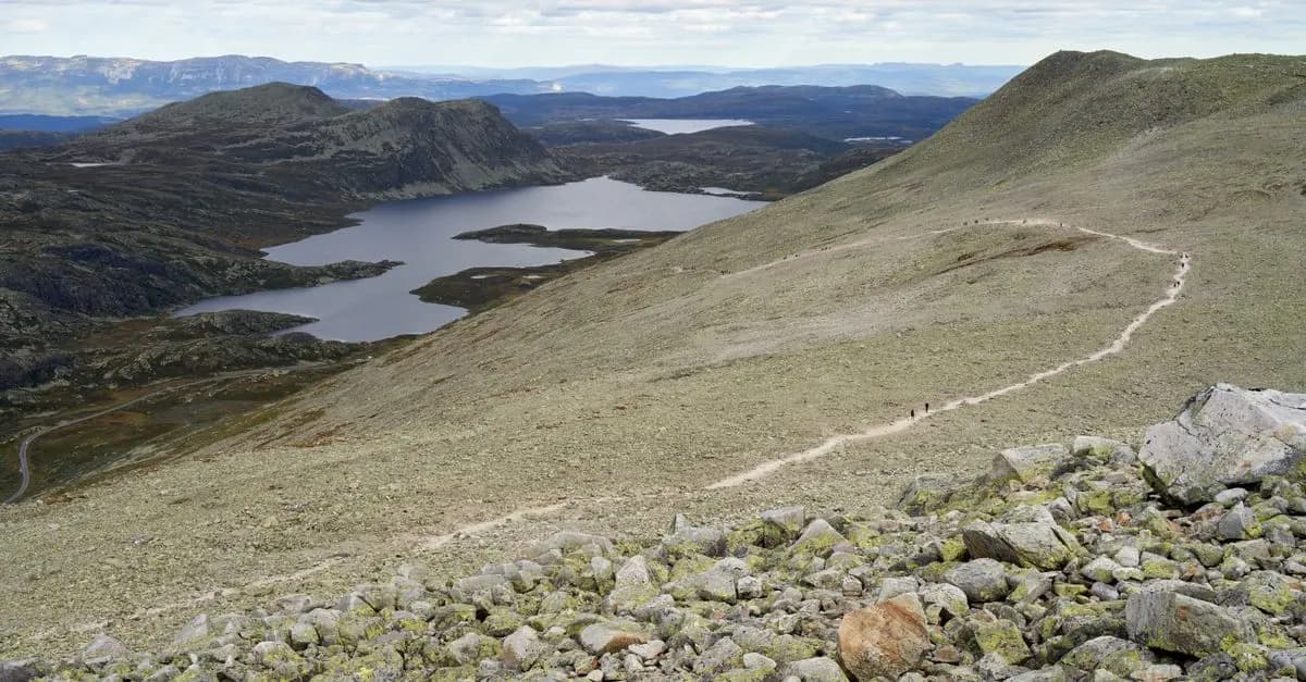 Les 10 Meilleures Activités de Plein Air pour Énergiser Vos Escapades
