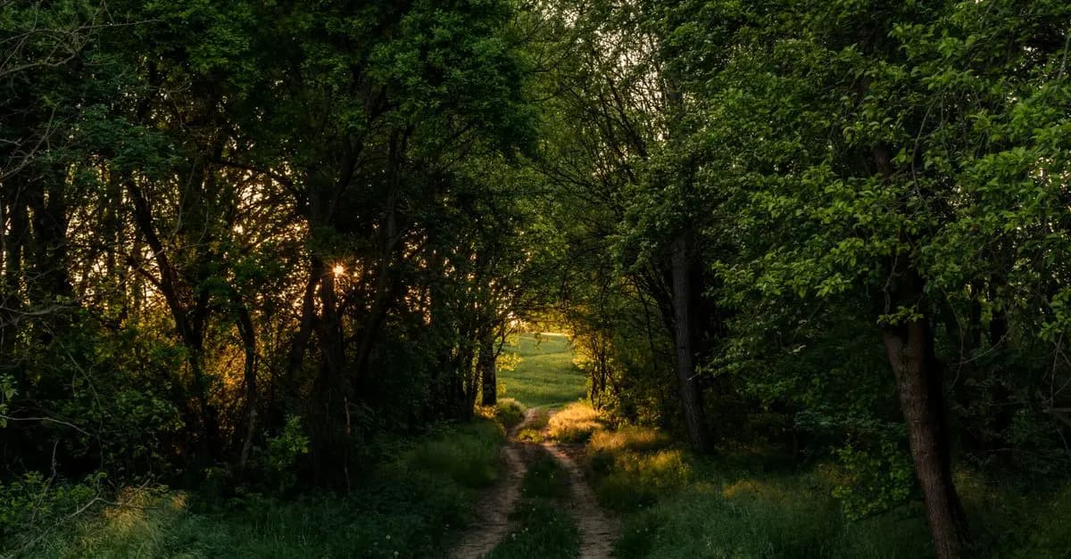 Les Meilleures Activités Outdoor à Essayer lors de Vos Escapades