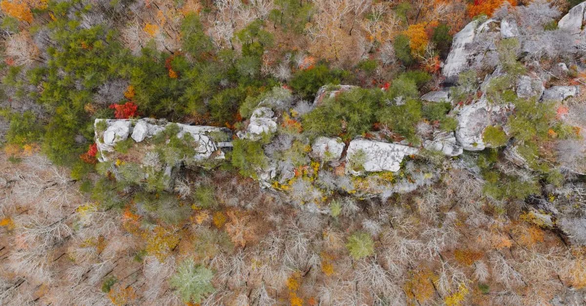 Les 10 Activités de Plein Air à Tester pour Vos Escapades Actives
