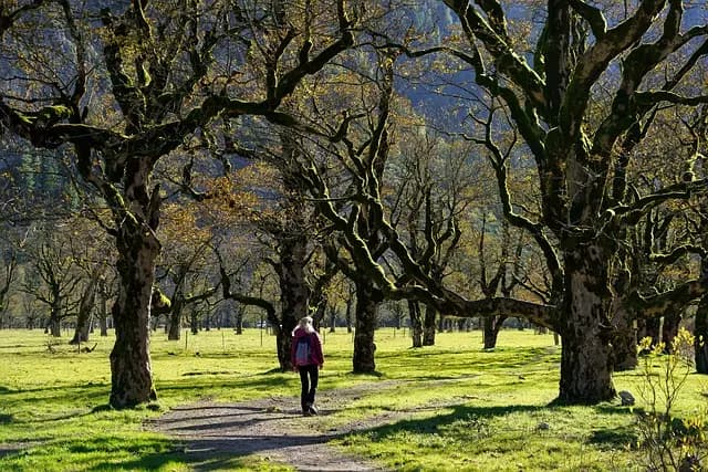 5 Idées d'Escapades Actives à Tester Pour Énergiser votre Week-end