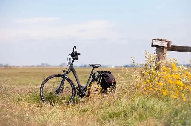 5 Sports d'Aventure à Essayer lors de Vos Escapades Actives