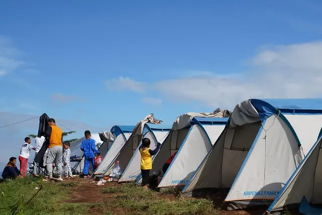 Comparatif des Meilleurs Hamacs pour le Camping