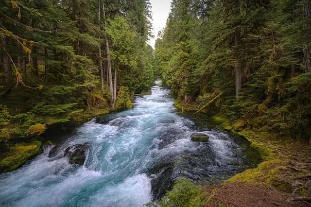 Les 10 Meilleures Activités de Plein Air pour Énergiser vos Escapades