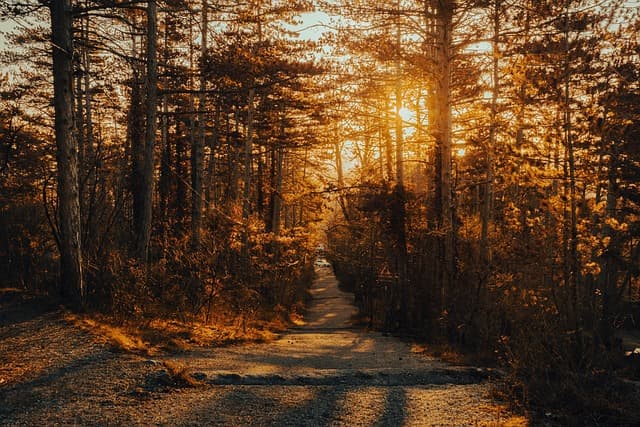 Les Meilleures Idées d'Escapades Actives pour l'Automne