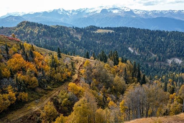 Les 10 Meilleures Astuces pour Réussir Votre Escapade Active